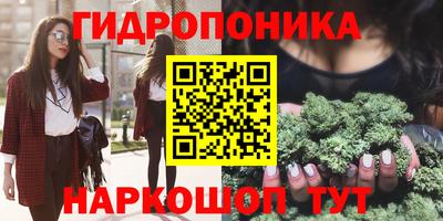 индика Новокубанск
