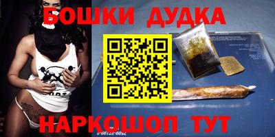 индика Новокубанск
