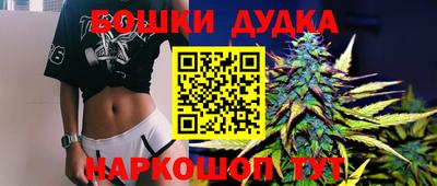 МДПВ Новодвинск
