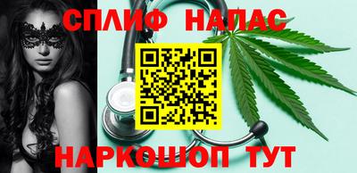 МДПВ Новодвинск