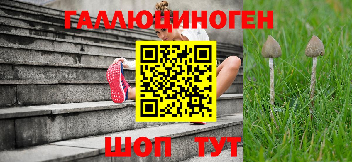 Галлюциногенные грибы Magic Shrooms  Вход с VPN  Аксай 