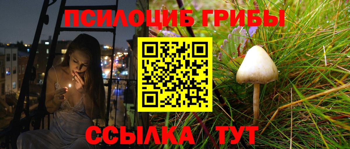 Псилоцибиновые грибы Cubensis Аксай