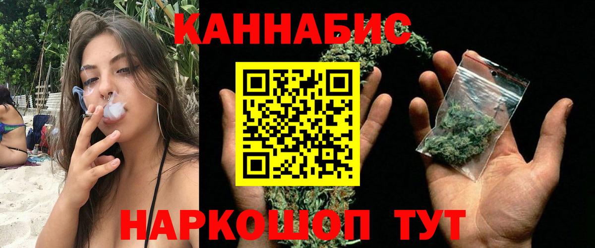Каннабис планчик Аксай